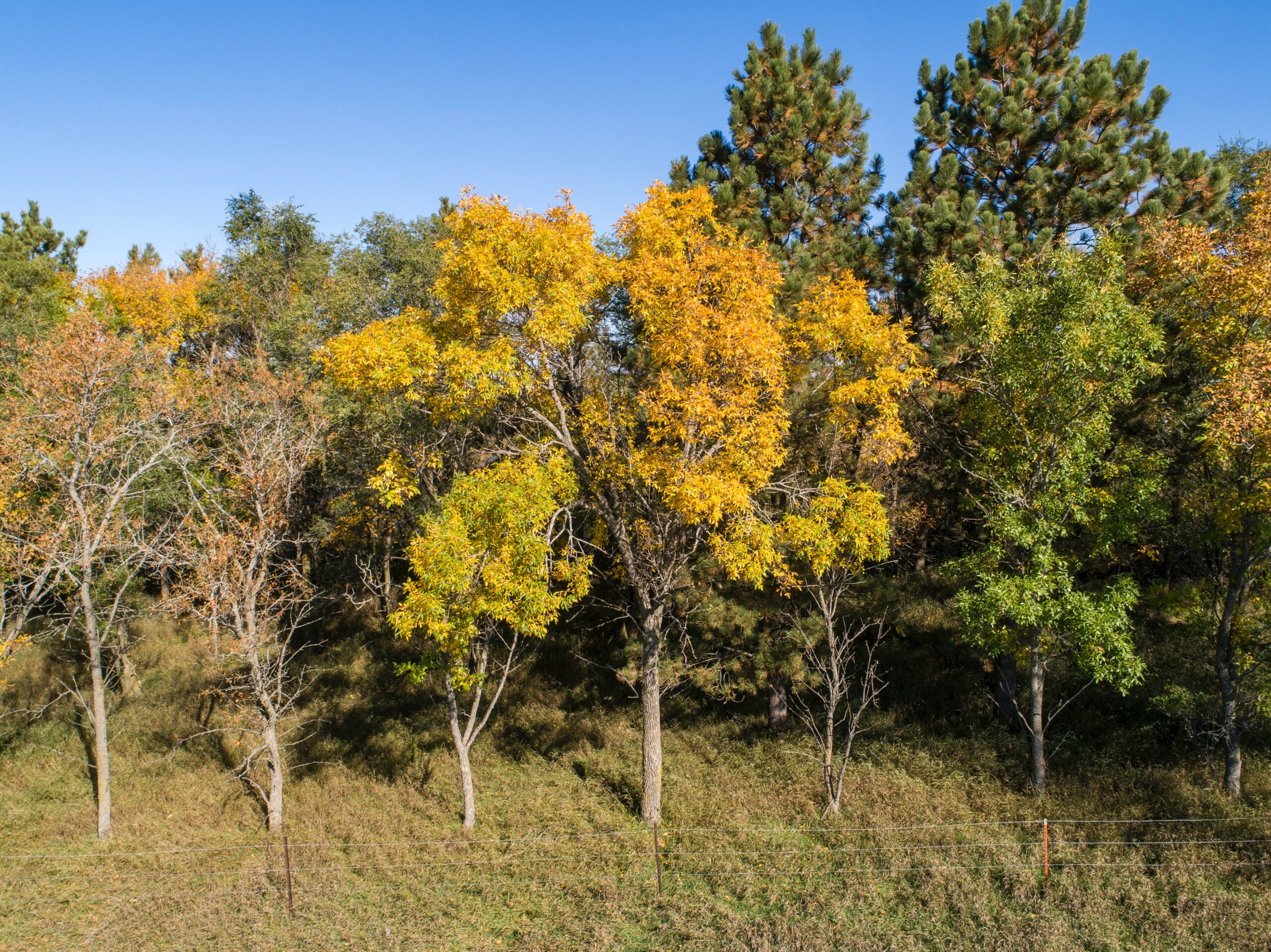 SOUTH DAKOTA REAL ESTATE COMMISSION VOTES UNANIMOUSLY TO ALLOW REBATES